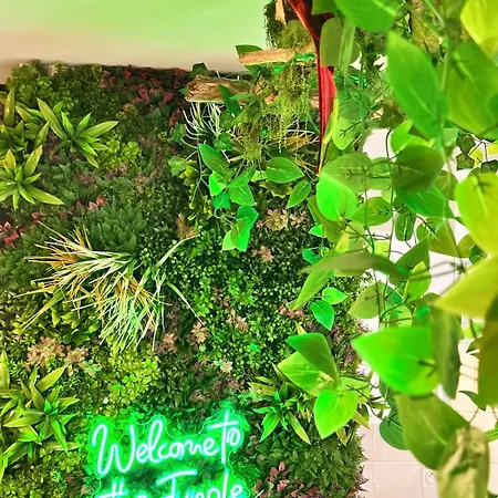 Jungle ,terrasse, Wi-fi & Parking Pv Apartment *