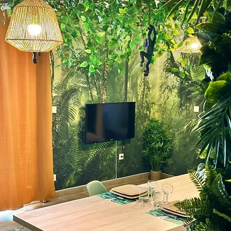 Apartment Jungle ,terrasse, Wi-fi & Parking Pv *