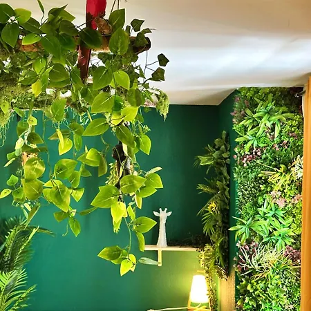 Jungle Jacuzzi Terrasse, Wi-fi & Parking Pv * Lunel (Herault)