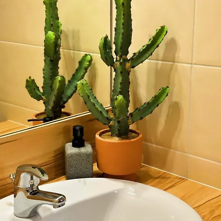 Jungle Jacuzzi Terrasse, Wi-fi & Parking Pv Apartmán *