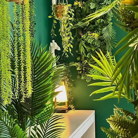 Apartment Jungle ,terrasse, Wi-fi & Parking Pv *