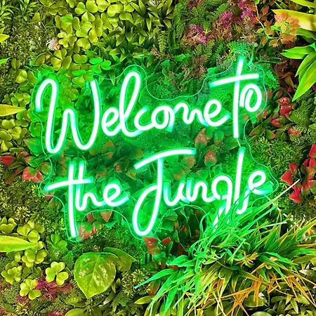 Apartment Jungle ,terrasse, Wi-fi & Parking Pv