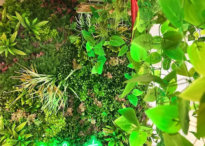 Jungle Jacuzzi Terrasse, Wi-fi & Parking Pv Apartman *