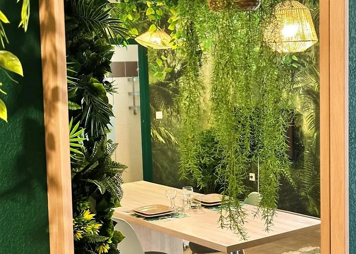Jungle Jacuzzi Terrasse, Wi-fi & Parking Pv *