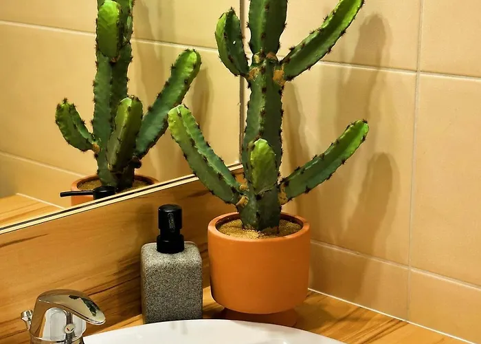 Jungle Jacuzzi Terrasse, Wi-fi & Parking Pv Apartman *